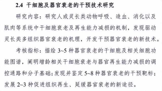 国家发文重点支持！干细胞及器官衰老的干预再成热点