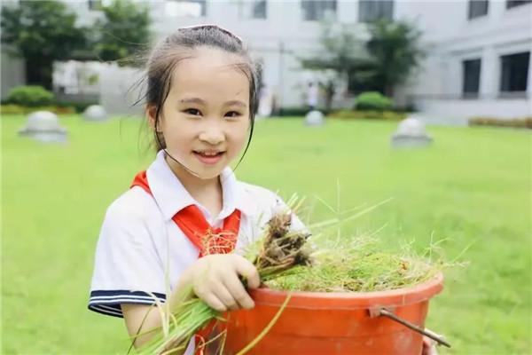 中国故事｜田冰冰：建设高质新品的现代化小学教育集团