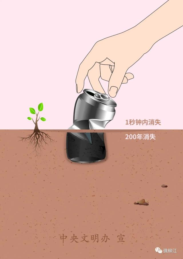 一节藕：产业链连幸福