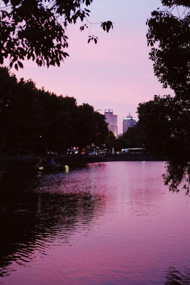 浙江这座城，永远OK