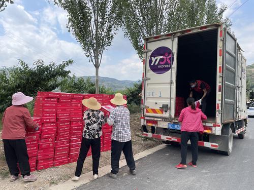 今年首批“秦安蜜桃”顺利出口新加坡