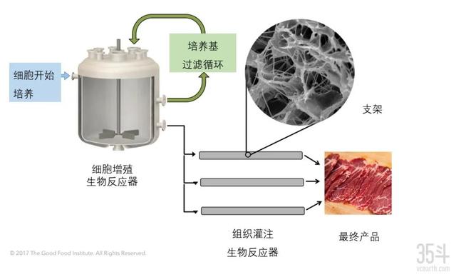 两年20亿资金流入，从实验室到餐桌，细胞海鲜能否替代传统海鲜？