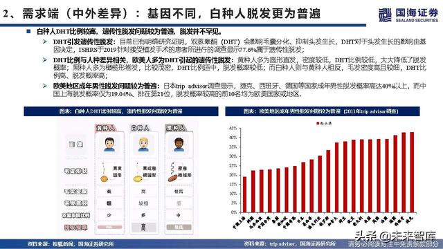 植发医疗行业深度报告：海外植发渗透率、竞争格局与龙头路径