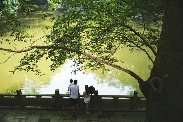 浙江这座城，永远OK