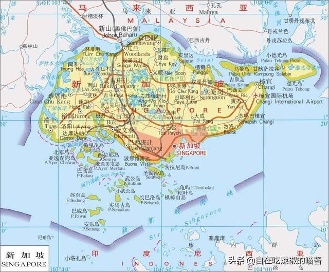 小国陆军志——新加坡陆军
