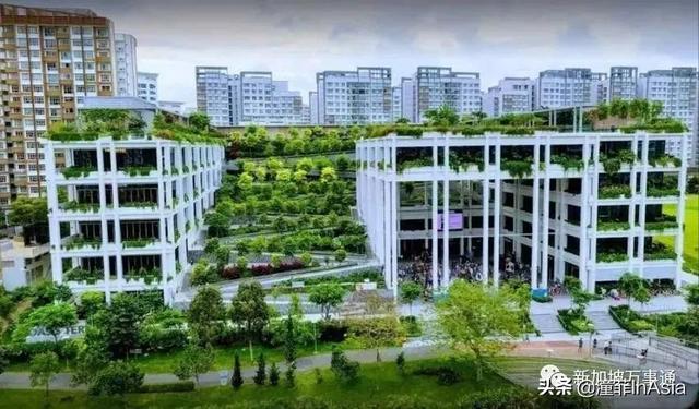 新加坡废旧地铁部件在组屋区竟成了宝