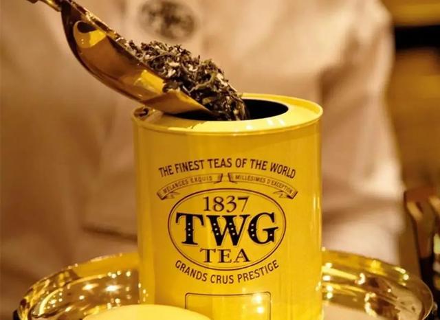 名牌茶中的爱马仕！TWG Tea新加坡奢华茗茶品牌设计整合