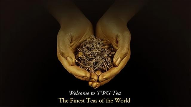 名牌茶中的爱马仕！TWG Tea新加坡奢华茗茶品牌设计整合