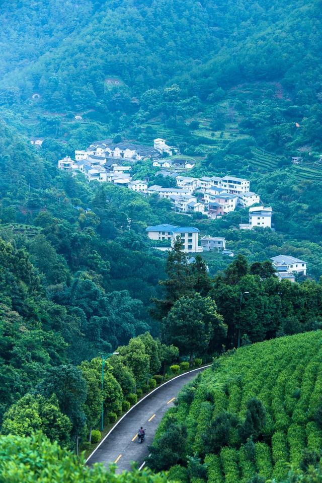 广东客家人最多的城市，太硬气了