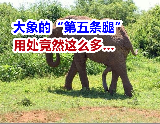 闻所未闻！22个惊人的事实，一个比一个离谱…