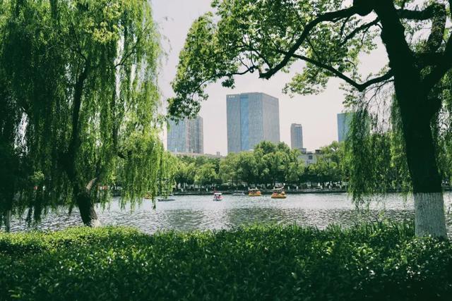 浙江这座城，永远OK