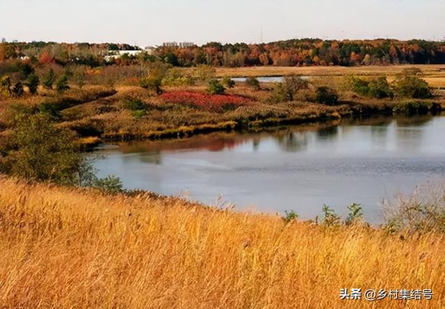 乡村休闲景观打造？4个国外景观廊道案例，变废为宝，震撼