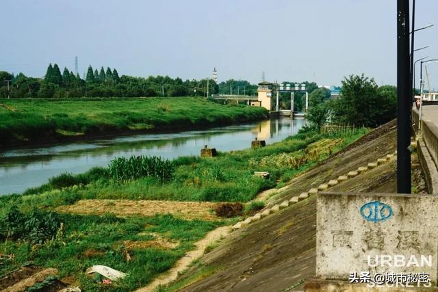 无数新杭州人独爱这里？探寻西溪以西在40年里的逆袭之路