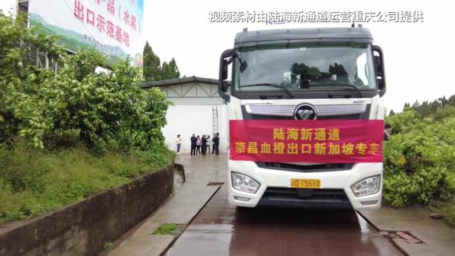 视频 | 6天抵达新加坡！荣昌血橙通过陆海新通道出口啦