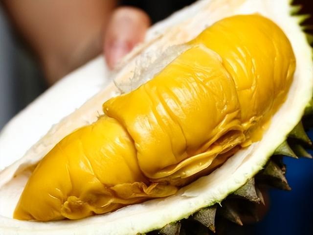 马来西亚榴莲里的生意经