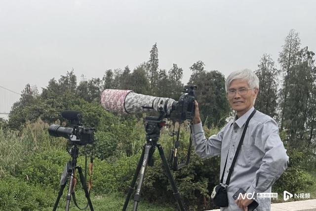 珠江口的观鸟人：在广东用镜头记录近300种珍贵鸟类的故事