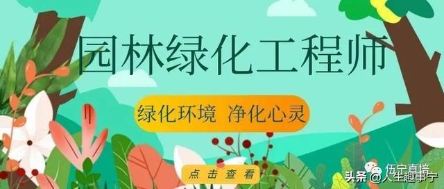 园林绿化工程师证怎么考这些报名条件可千万不能错了