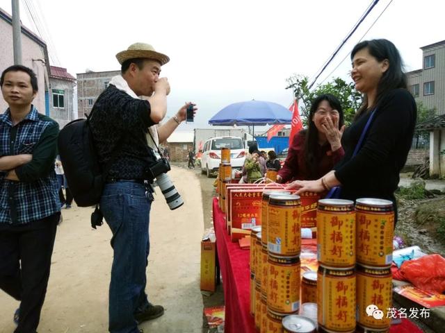 “五棵树一条鱼一桌菜”撬动产业升级，茂名致力培育超百亿级现代农业产业集群！