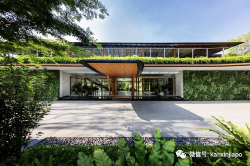每月20万新币！什么样的别墅有这样的魅力让中国富豪租房也要住？
