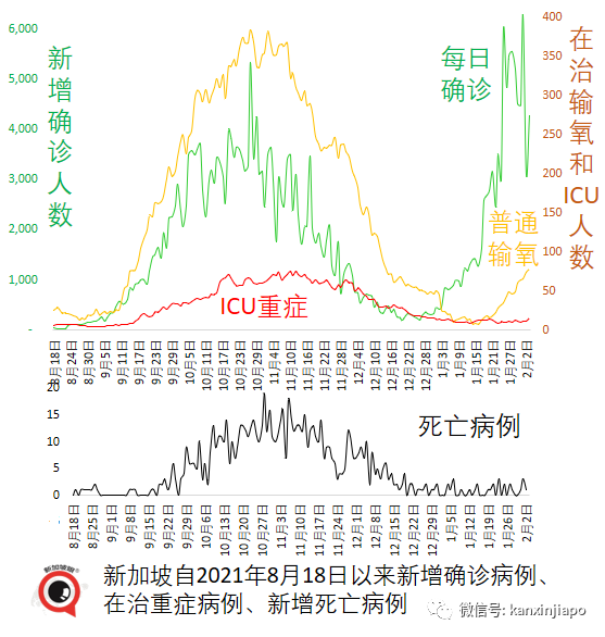 新加坡飙涨创新高，有部长和次长确诊；专家称可进一步开放，室外不需戴口罩，聚会不限人数