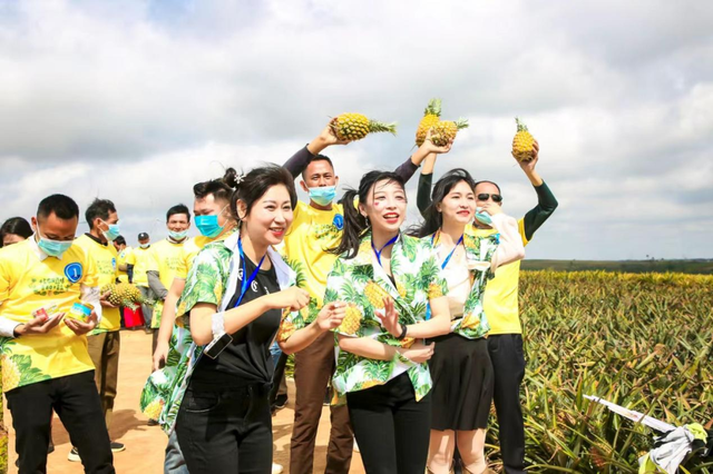 徐闻喊全球吃菠萝！“菠萝的海”千人同时直播带货冲浪