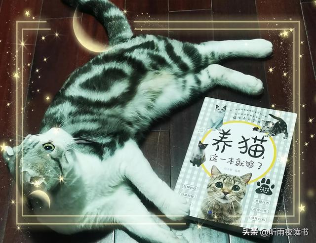 养猫指南 | 作为升级版铲屎官，有这本书就够了