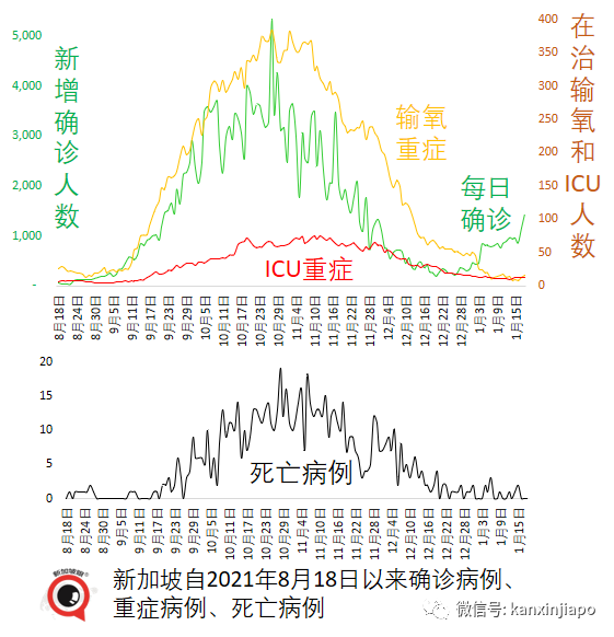 新加坡儿童疫苗不良反应最新统计出炉，包括荨麻疹