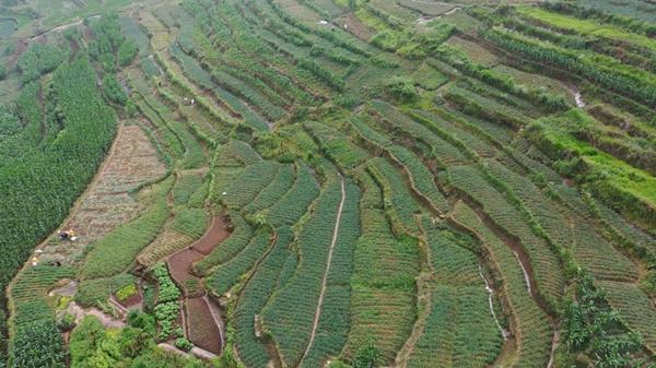 重庆丰都：乡土“下饭菜”国外走俏