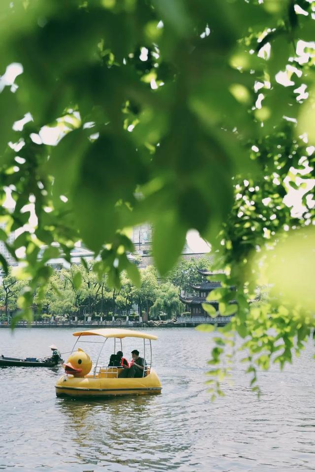 浙江这座城，永远OK