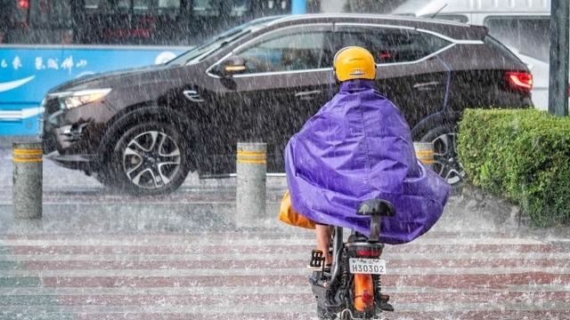 盒马日日鲜特约·南方+早班车丨广东“高温+雷雨”天气模式将持续