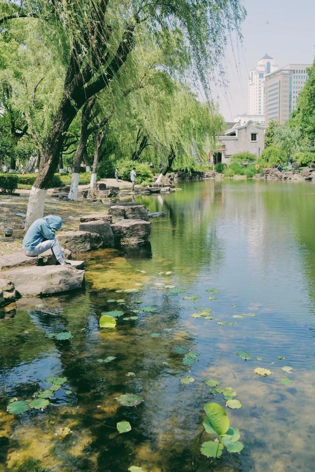 浙江这座城，永远OK