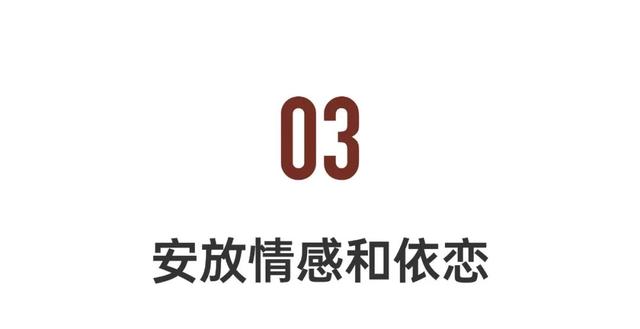 母亲意外离世后，三兄妹重建1200㎡老宅，搬回儿时的家