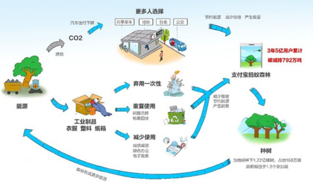 马云承诺每年帮我们种1亿棵树，六年过去了，你的树真的种下了吗