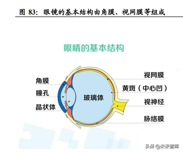 眼镜行业深度报告：眼镜市场千亿规模，近视防控赛道加速崛起