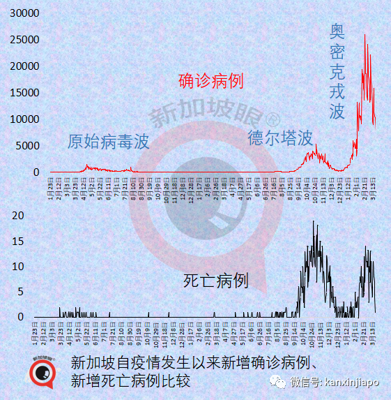 新加坡入境旅客近两月翻倍；张文宏认为中国抗疫需要注意3点