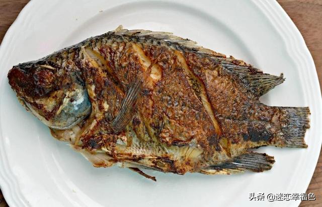 罗非鱼，引进成功的外来物种，为何中国人不爱吃？反而欧美爱吃？