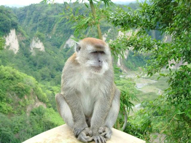 猴痘类病毒研究匮乏，中国如何防患未然？