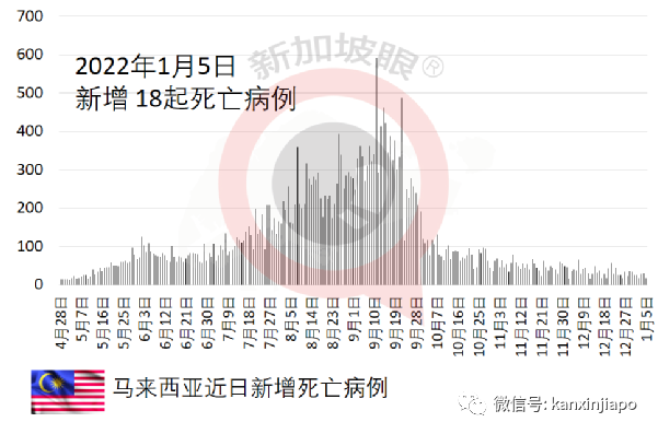 新的毒株又来了！马国水灾或致新加坡春节蔬菜价格高涨