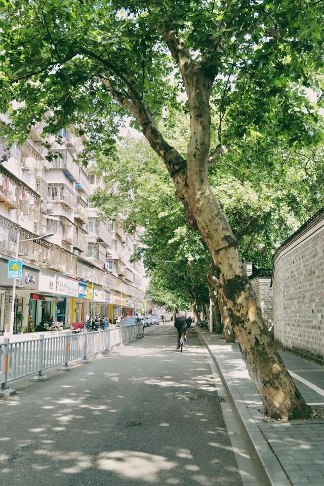 浙江这座城，永远OK