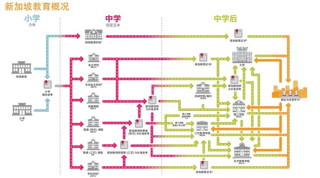 新加坡陪读两年后，她们发现“最好”的双语教育还是在中国