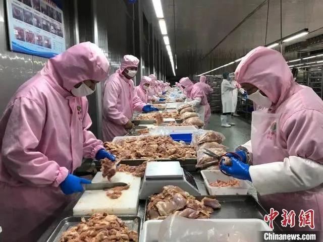 新加坡人快吃不起鸡肉饭了，都怪马来西亚？