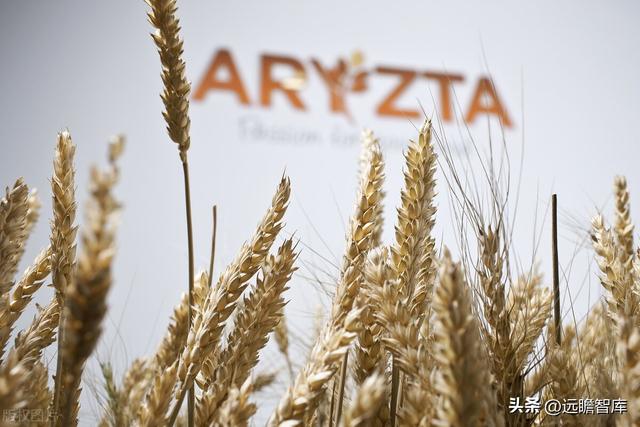 冷冻烘焙领导者，Aryzta：从并购扩张到聚焦核心市场，优势领先