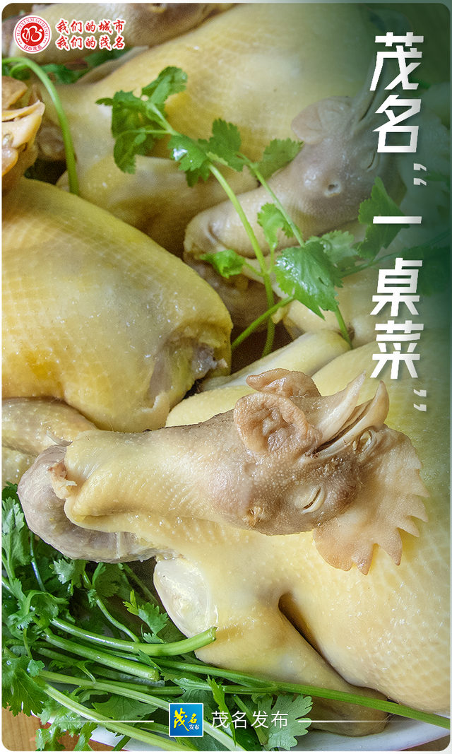 “五棵树一条鱼一桌菜”撬动产业升级，茂名致力培育超百亿级现代农业产业集群！