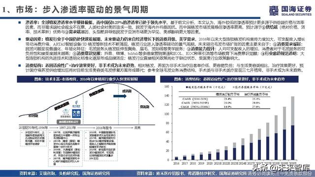 植发医疗行业深度报告：海外植发渗透率、竞争格局与龙头路径