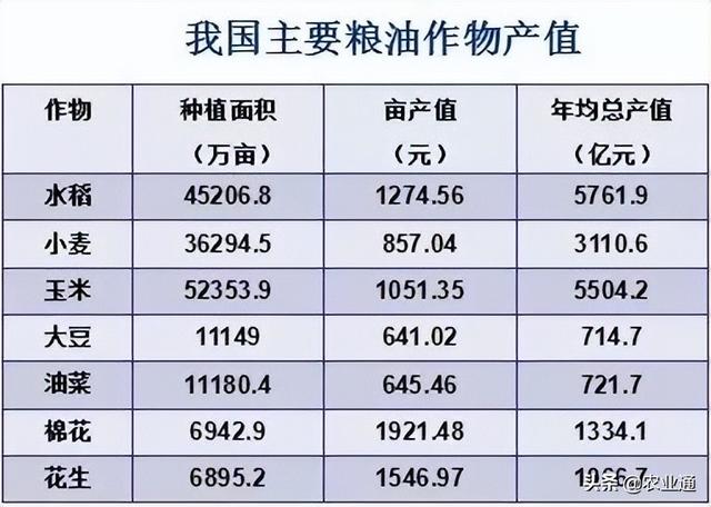 为什么玉米改种花生很流行？是因为这四个原因