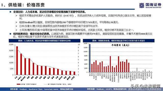 植发医疗行业深度报告：海外植发渗透率、竞争格局与龙头路径