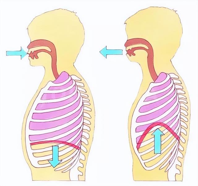 呼吸训练，一个减轻GERD的小妙招