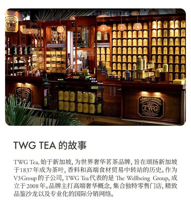 名牌茶中的爱马仕！TWG Tea新加坡奢华茗茶品牌设计整合