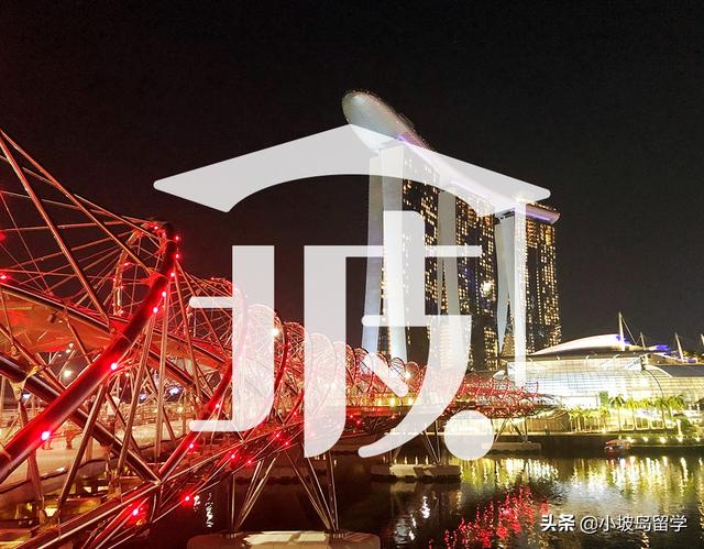 在新加坡，主要都有哪些身份准证？