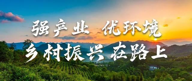 吃瓜比赛、瓜王颁奖，八师121团“甜瓜节”精彩开幕